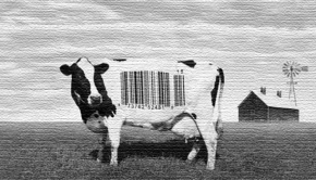 Image - Food Inc.