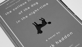 Image - The Curious Incident of the dog in the nighttime - good books for Teens and Young Adults.