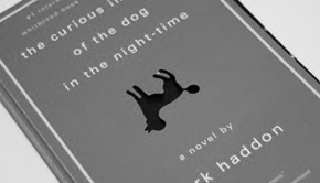 Image - The Curious Incident of the dog in the nighttime - good books for Teens and Young Adults.