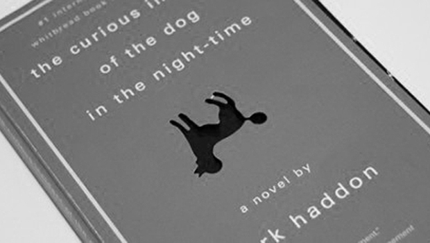 Image - The Curious Incident of the dog in the nighttime - good books for Teens and Young Adults.